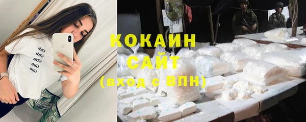 шишки Верхний Тагил