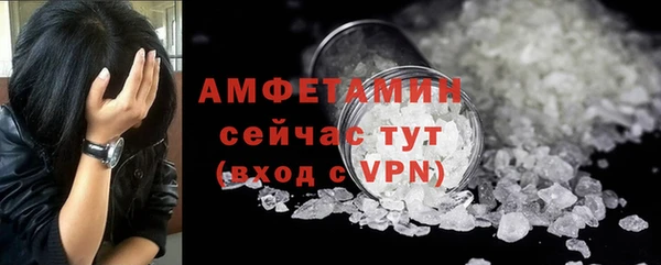 шишки Верхний Тагил