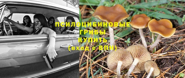 винт Верея