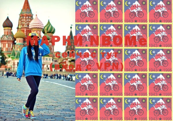 шишки Верхний Тагил