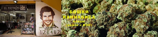 винт Верея