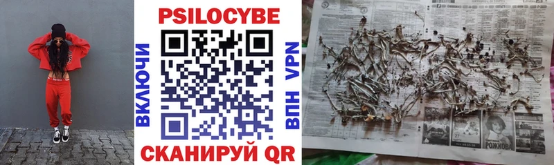 Купить где  Отрадный  Псилоцибиновые грибы прущие грибы 